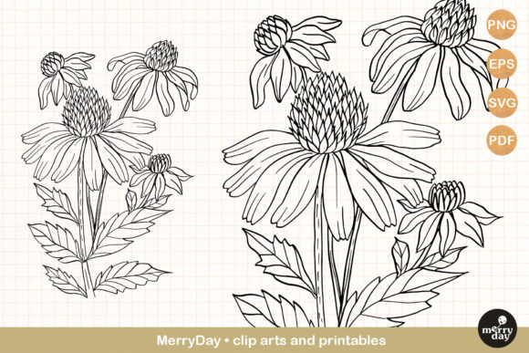Discover the Versatility of Coneflower Summer Flower Clip Art