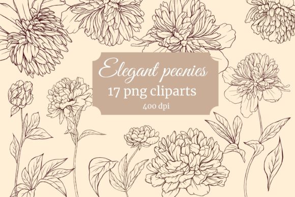 Peony Flowers: Elegant Vintage Style for Creative Projects