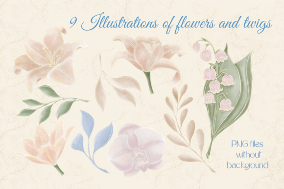 Set Plant Illustrati Wedding History