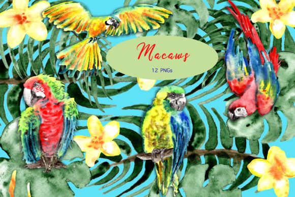 Watercolor Colorful Macaw Parrots: Vibrant Designs for Every Need