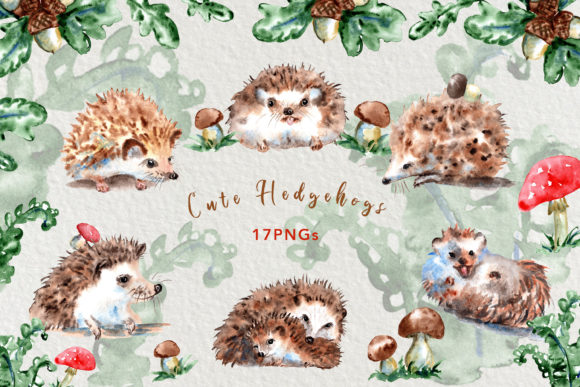 Watercolor Cute Hedgehog Clip Art