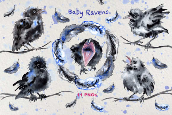 Watercolor Funny Baby Raven Clip Art